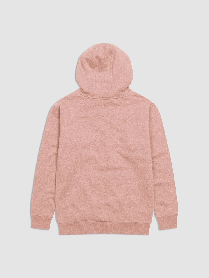 DIVINE HOODIE SALMON product image (2)