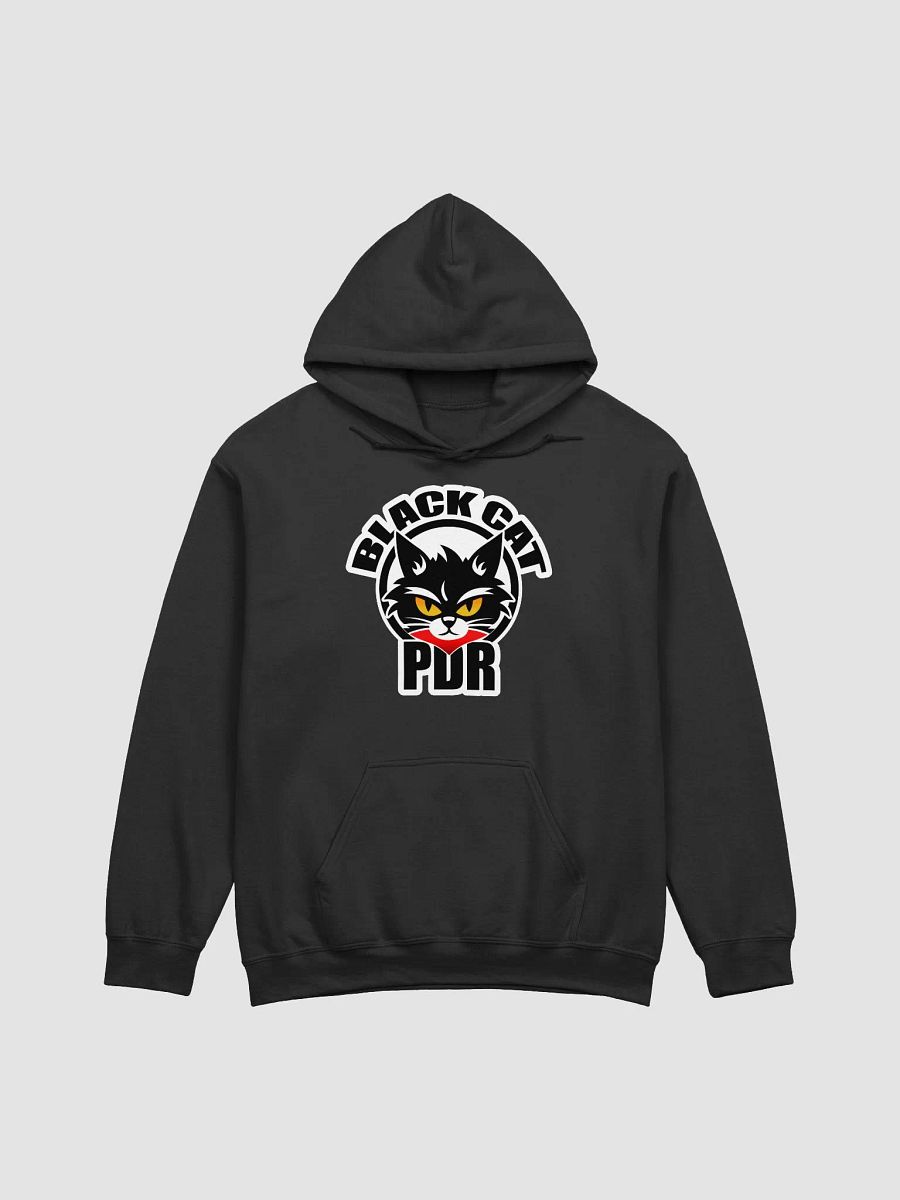 PDR Racing Logo Hoodie product image (6)