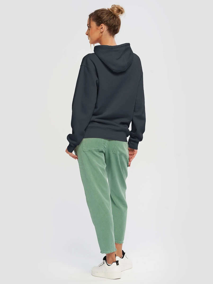 Don't try this at ~ hoodie product image (17)