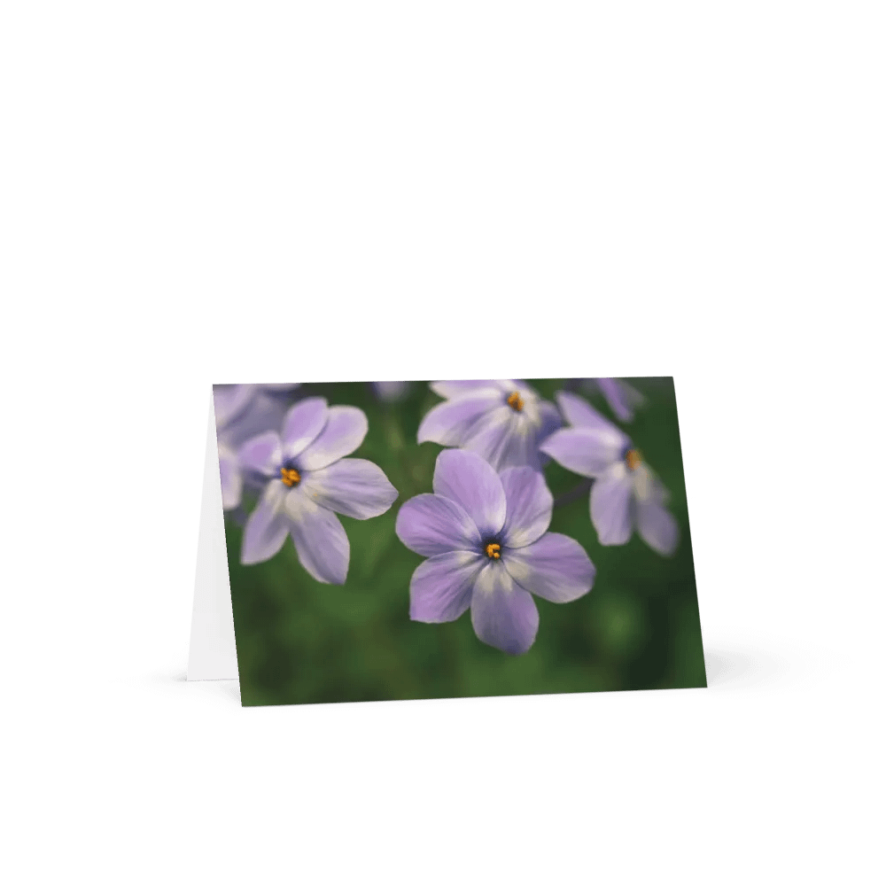 Dreamy Phlox Notecard product image (1)