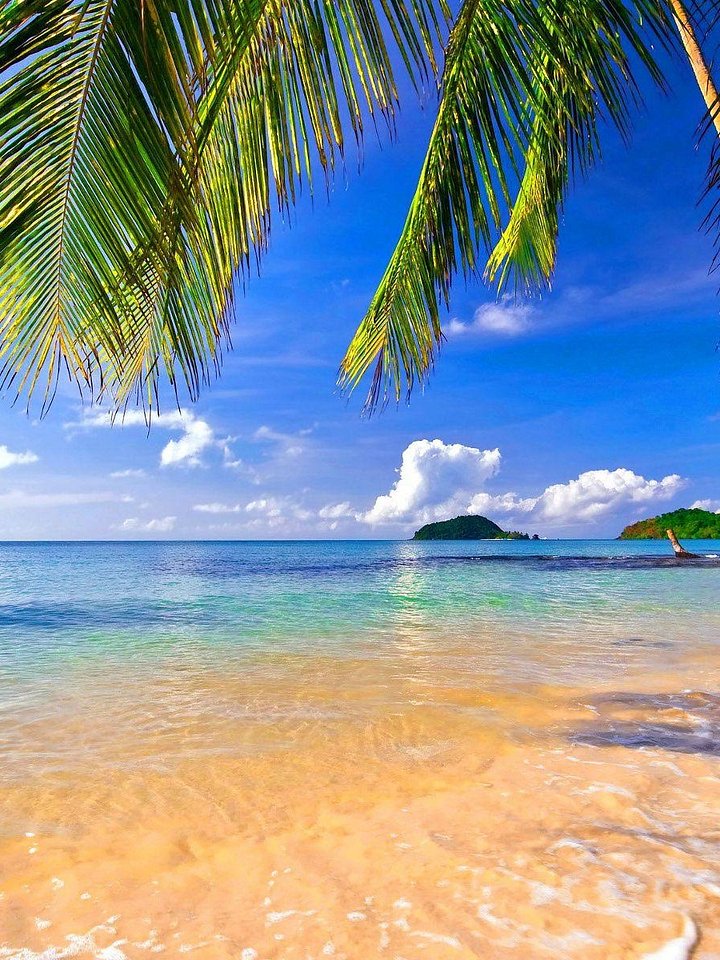 Coconut Lime Breeze Scented Candle 8.oz product image (2)