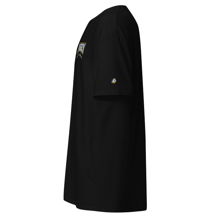 Original T-Shirt (Dark Colors) product image (2)