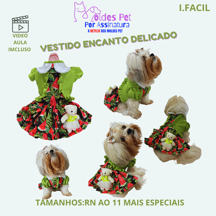 Vestido Encanto Delicado - Modelagem Pet PDF product image (1)