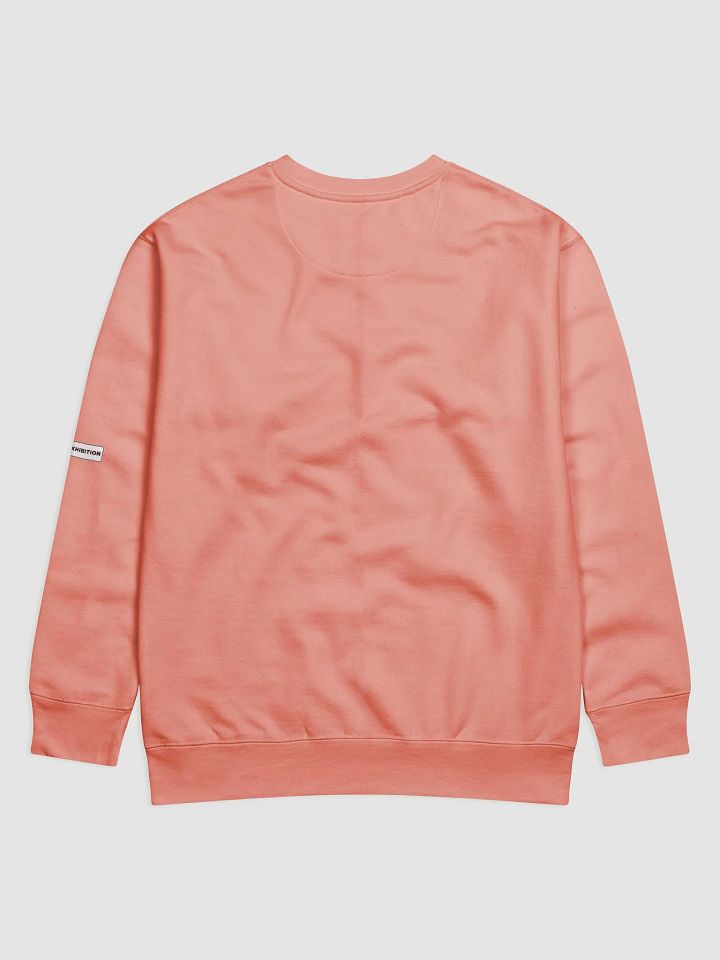 "WE EXIST" premium cotton sweatshirt product image (2)