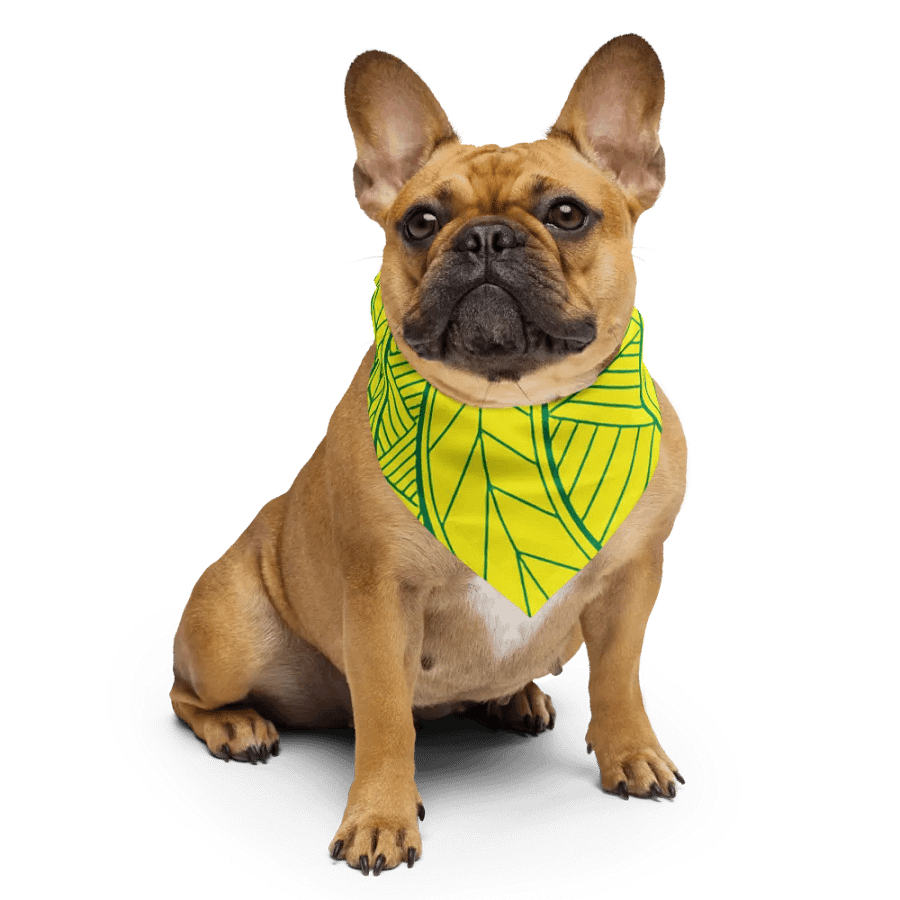 KK$XV Bandana product image (6)