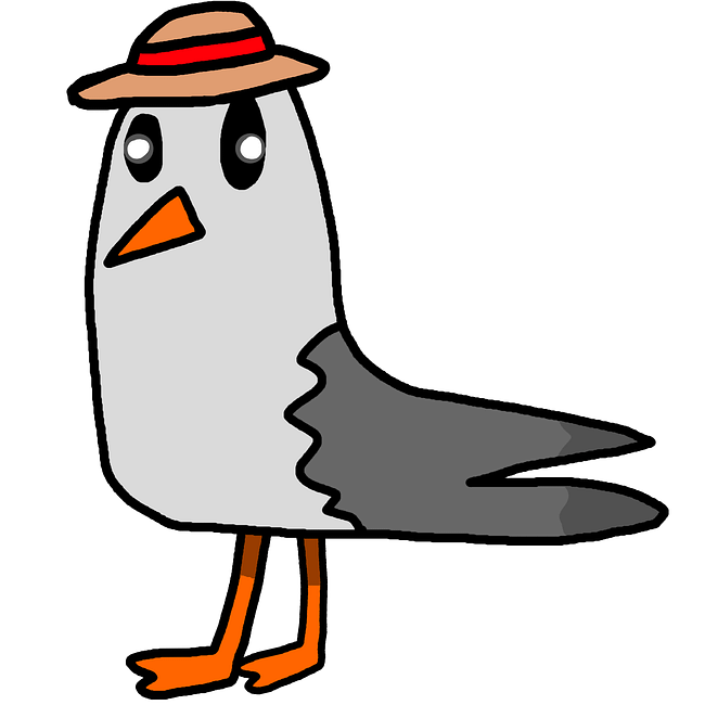 Lil Gull