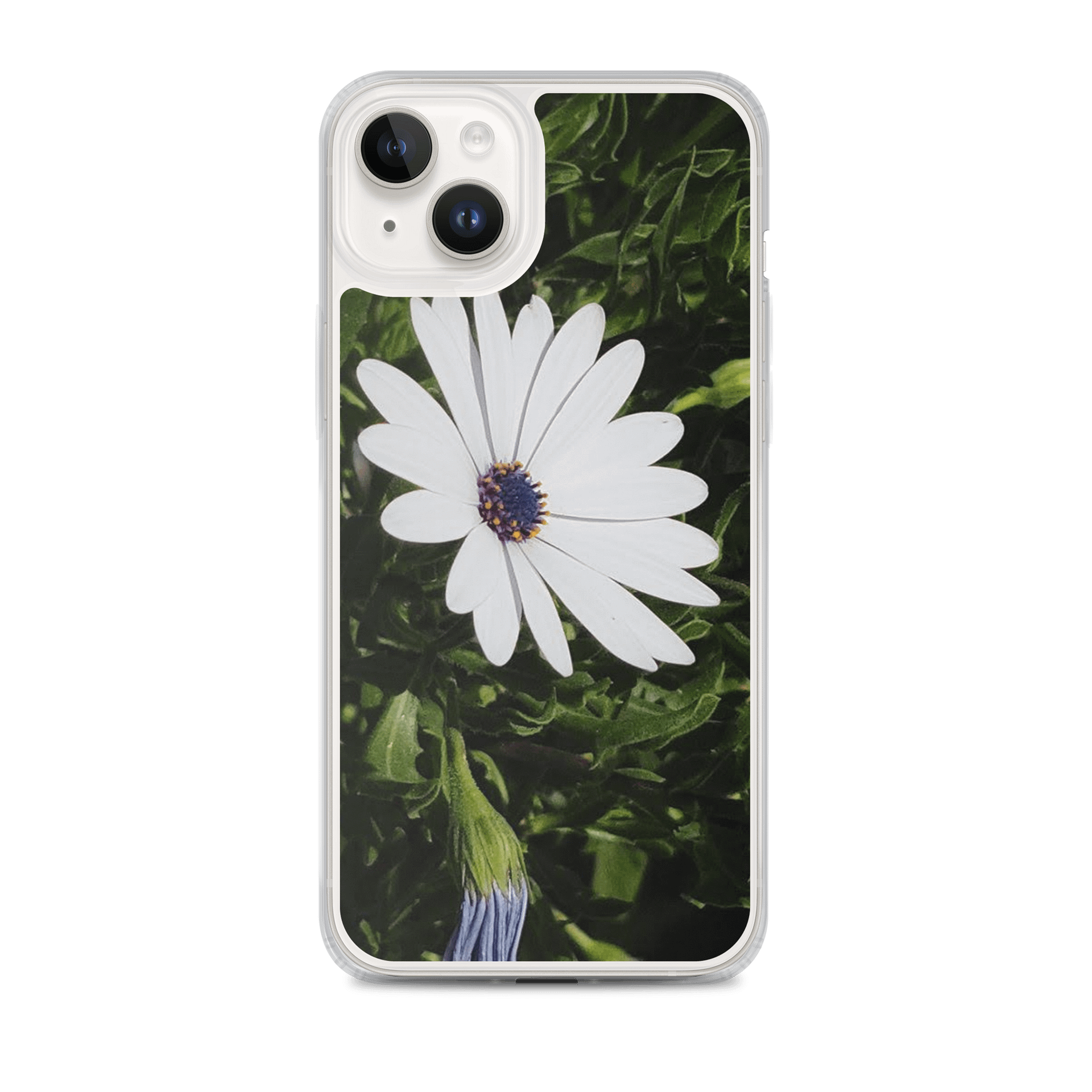 Daisy Delight iPhone® MagSafe® Clear Case product image (1)