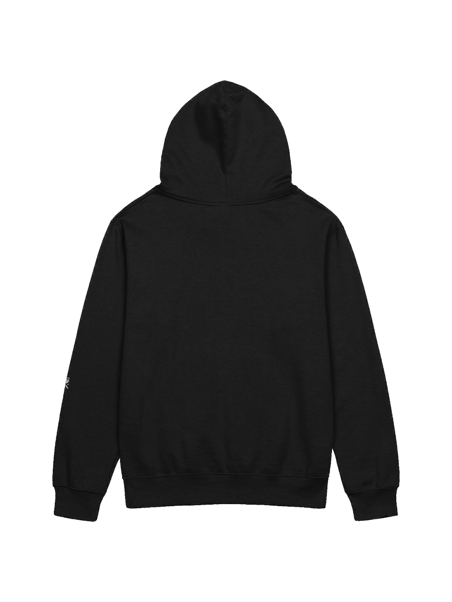 Why Not. Regular Fit Hoodie product image (11)