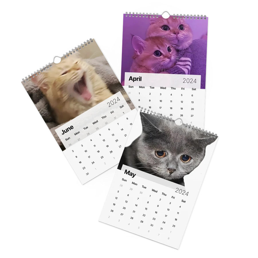 Wall Calendar (2024): Meme Cats product image (3)