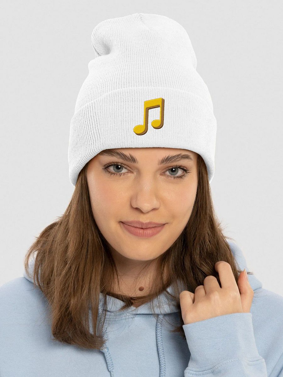 BK Notes Beanie Tall product image (3)