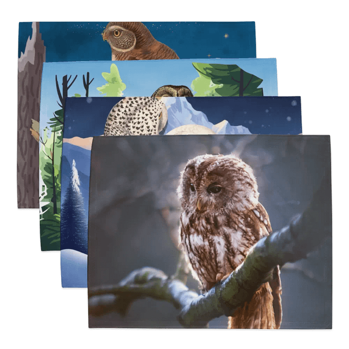 Perched Owles product image (1)