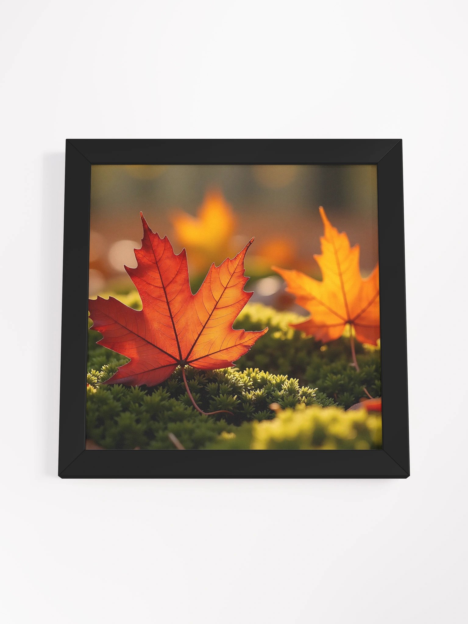 Maple Leaf on Forest Floor product image (12)