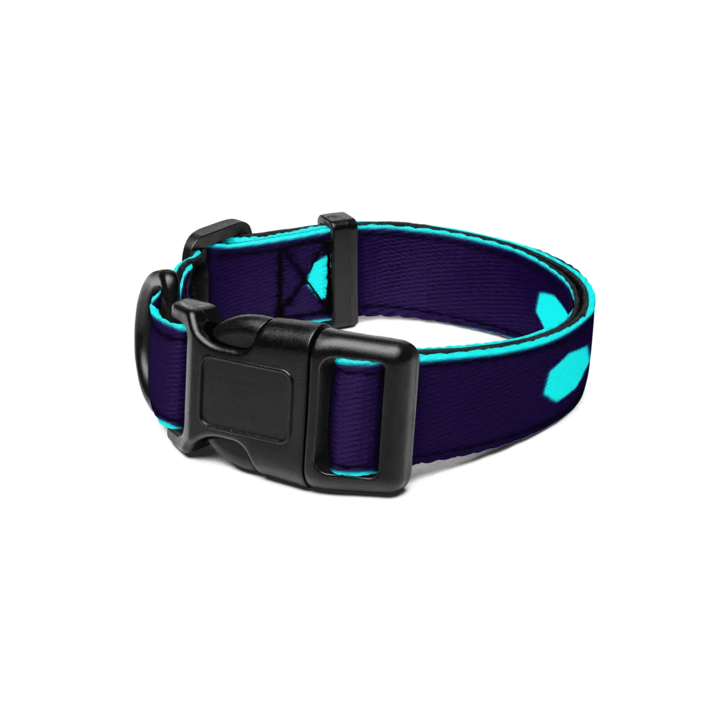 Cyan Septagon Collar product image (1)