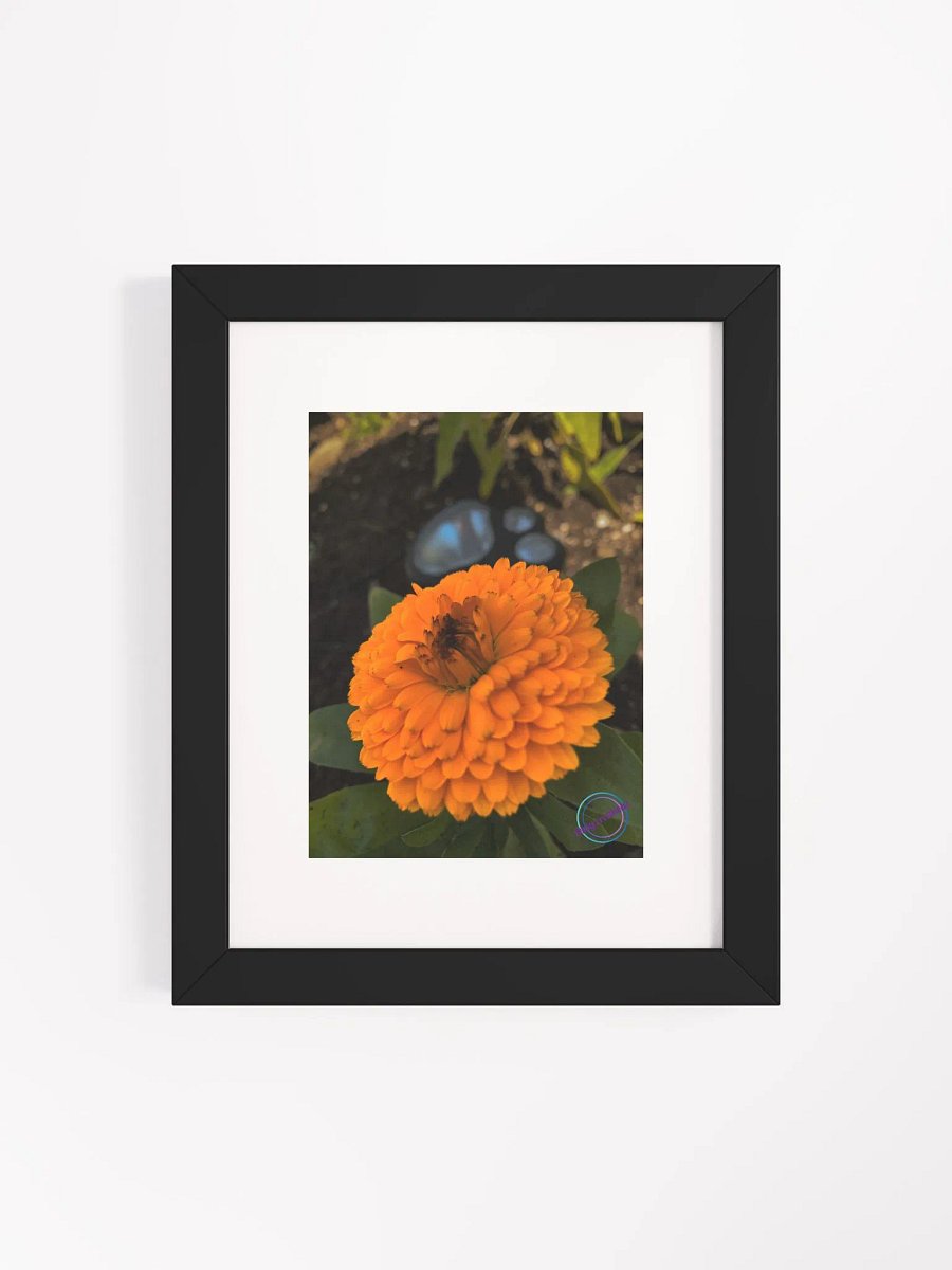 Orange in bloom product image (4)