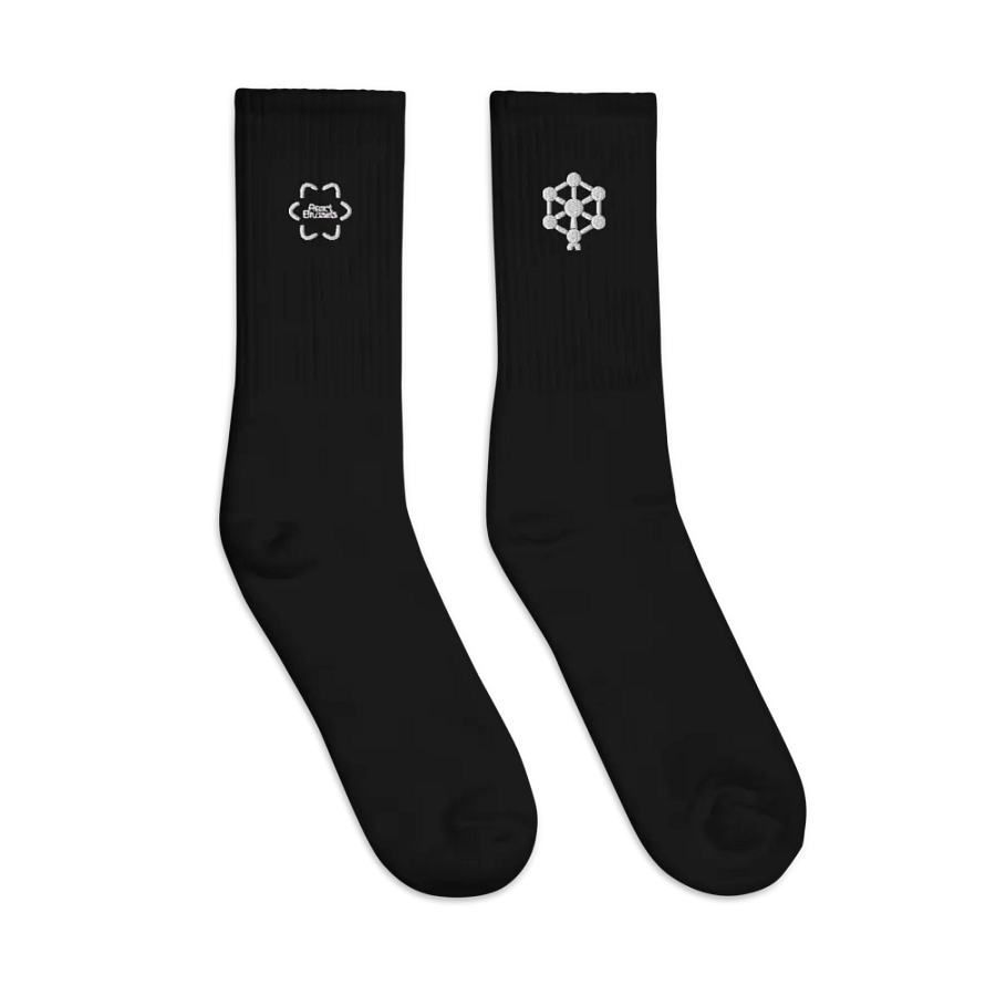 RB Embroidered Socks in Black product image (3)