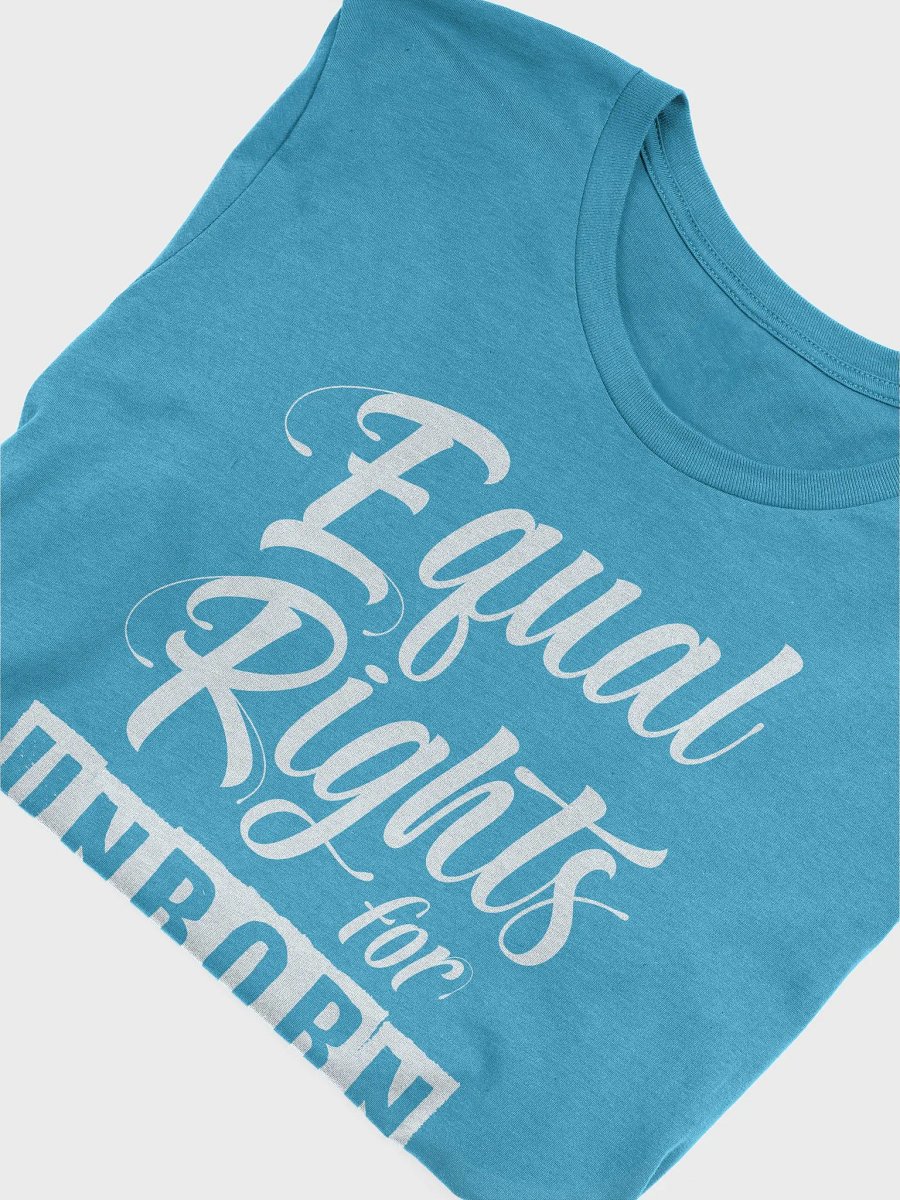 Pro-Life Bella Canvas T-Shirt - Equal Rights for Unborn Women product image (5)