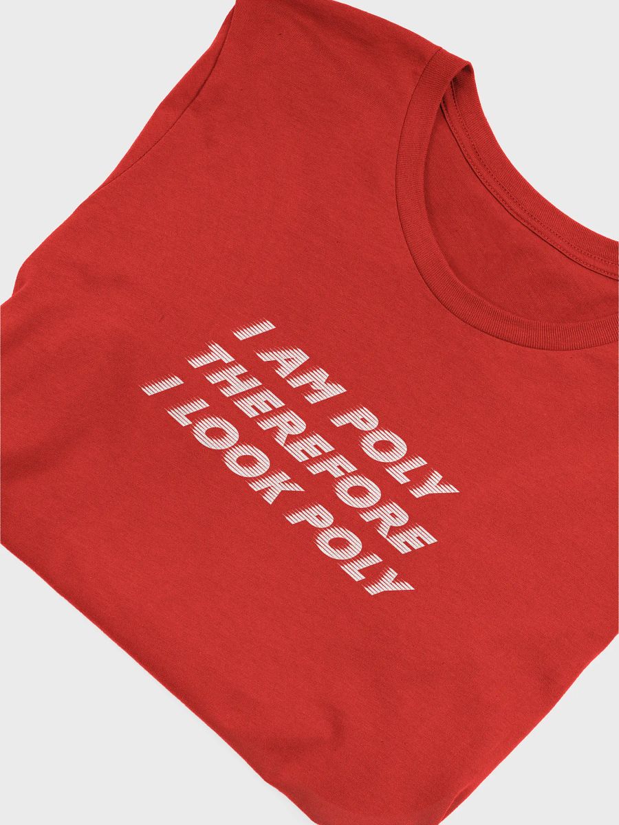 i am poly therefore i look poly t-shirt product image (5)