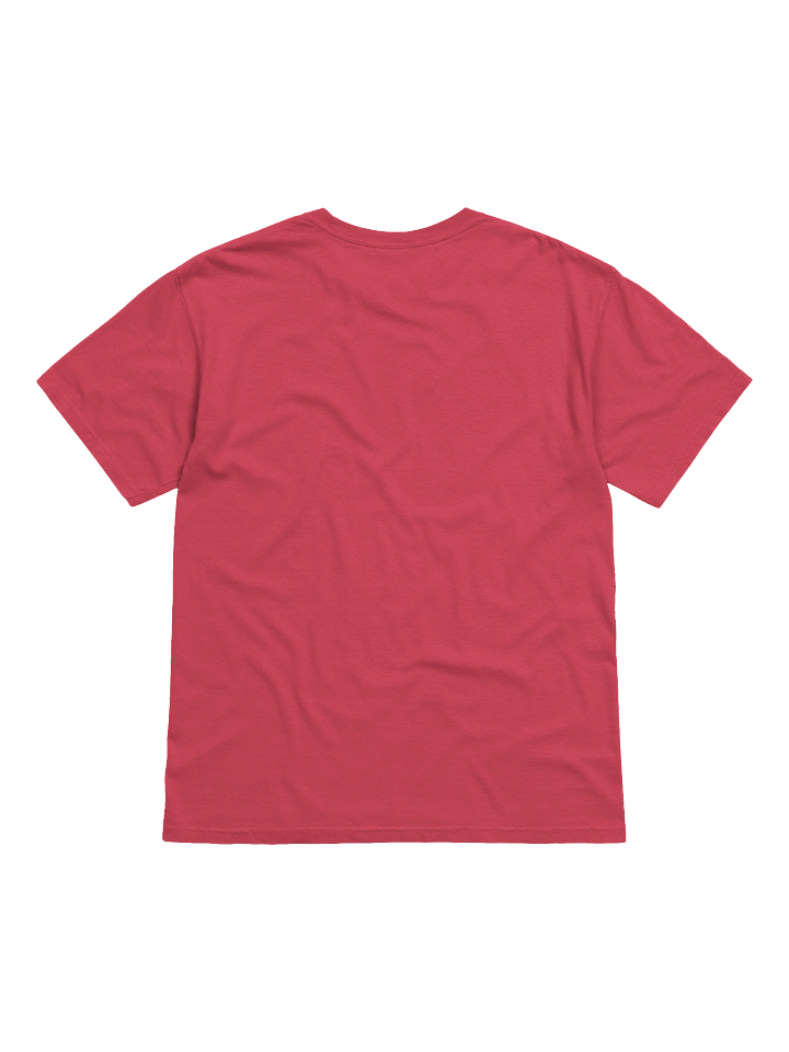 Handle with Care | Ferret T-Shirt product image (9)