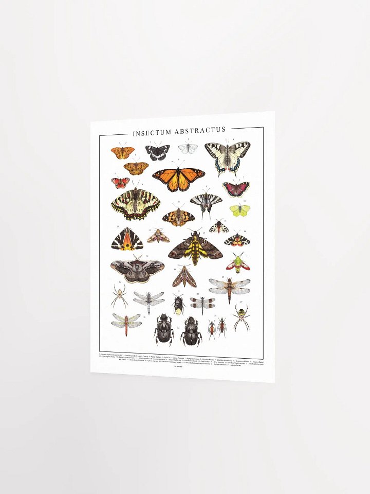 INSECTUM ABSTRACTUS - Print product image (2)