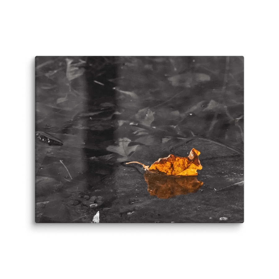 Prisoner of the ice (Canvas) product image (1)