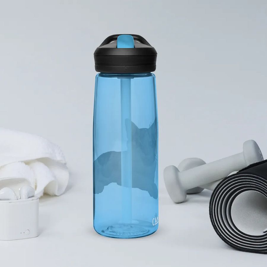 Cat Drawing Water Bottle Straw product image (68)