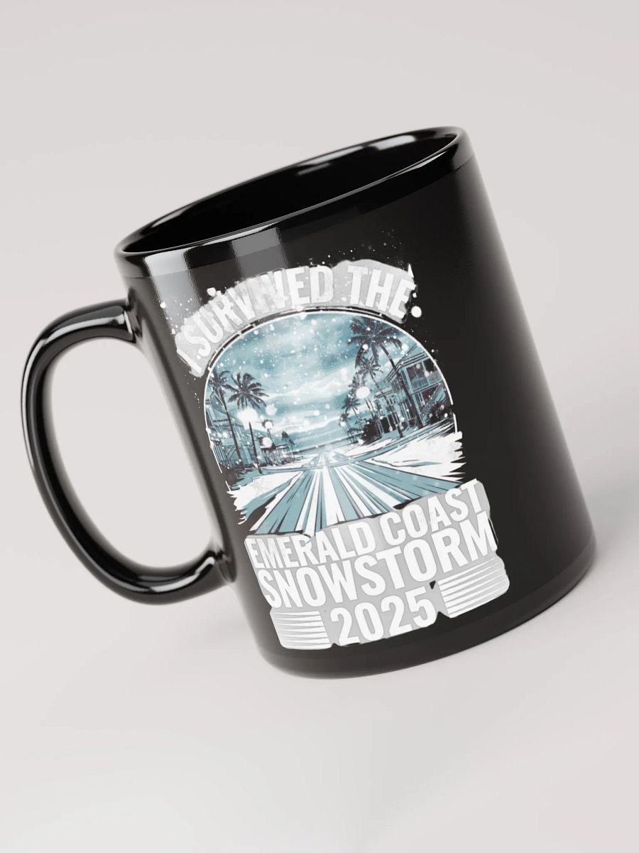 I survived the Emerald Coast Snowstorm 2025 Mug product image (5)