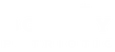 Boldly Patriotic