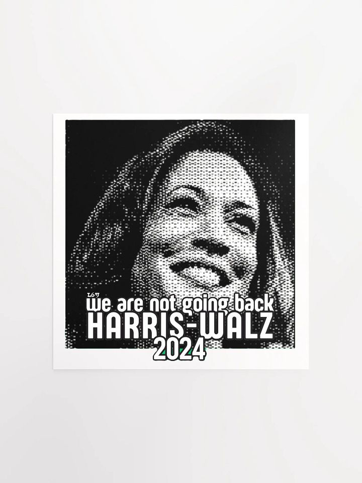 HARRIS-WALZ 2024 WE ARE NOT GOING BACK product image (5)