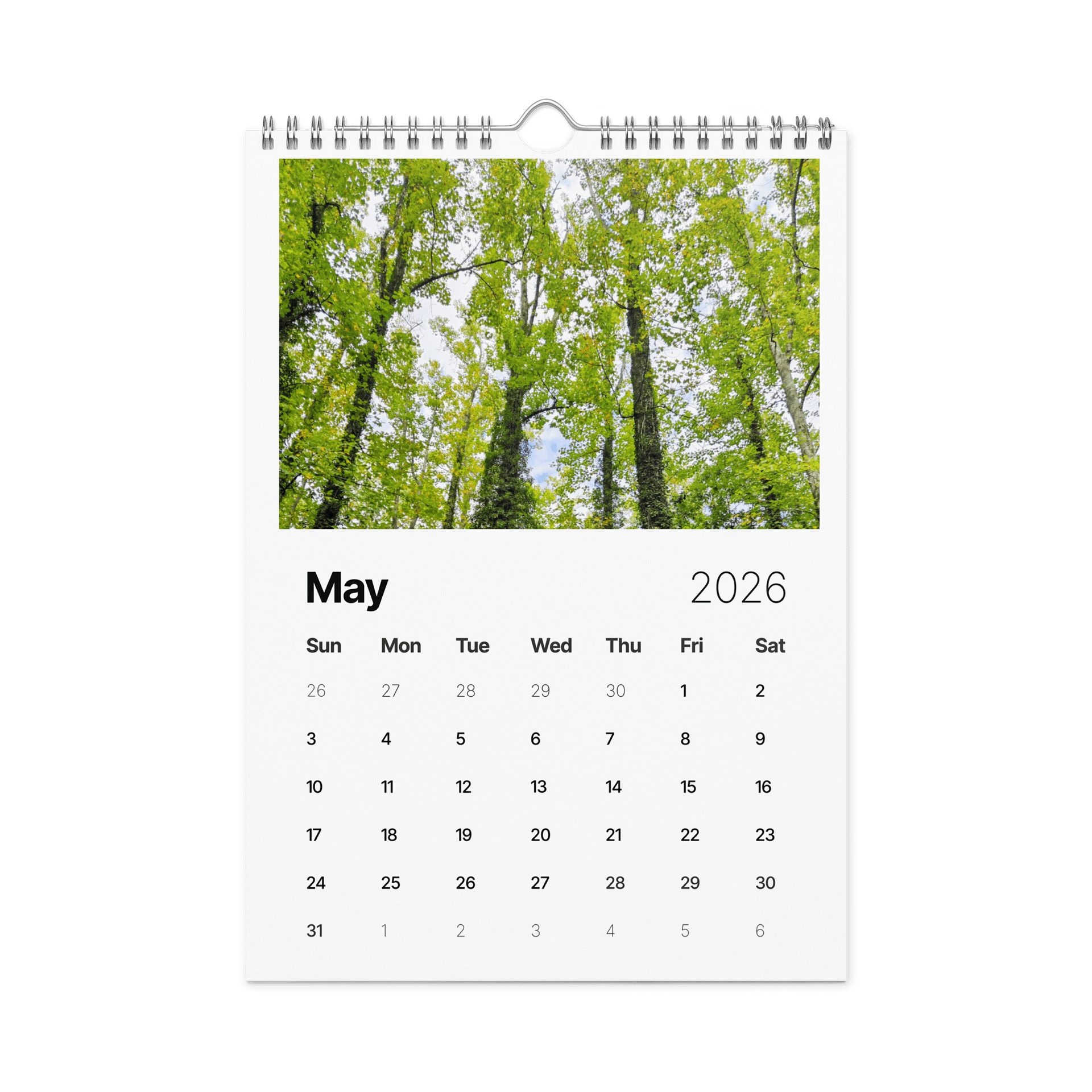 Canopy of Time: 2026 Wall Calendar product image (5)
