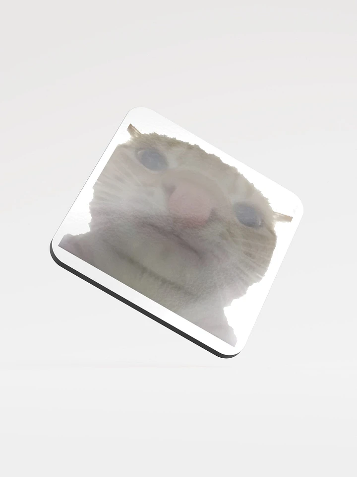 Glossed Cork Coaster: Meme Cats 2 product image (1)