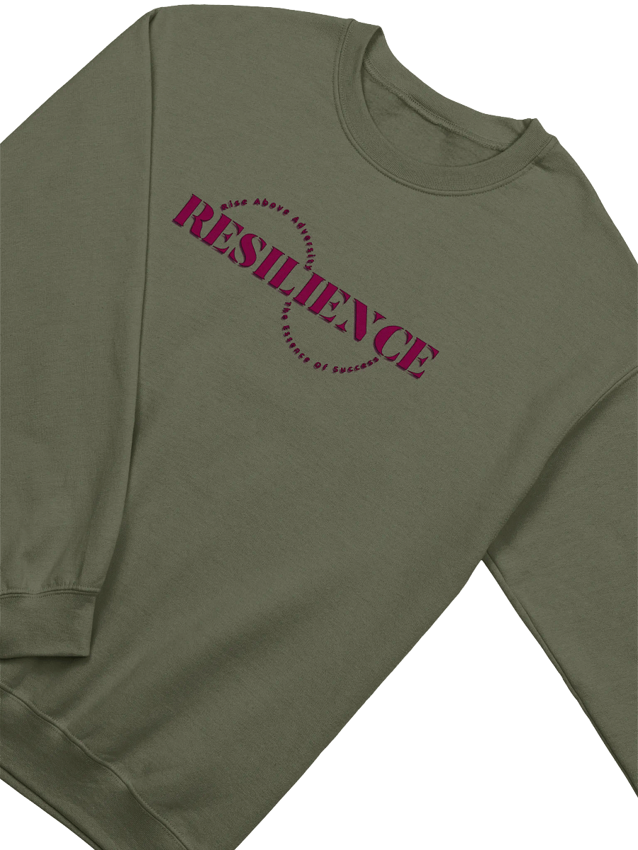 Resilience Circle Classic Sweatshirt product image (26)
