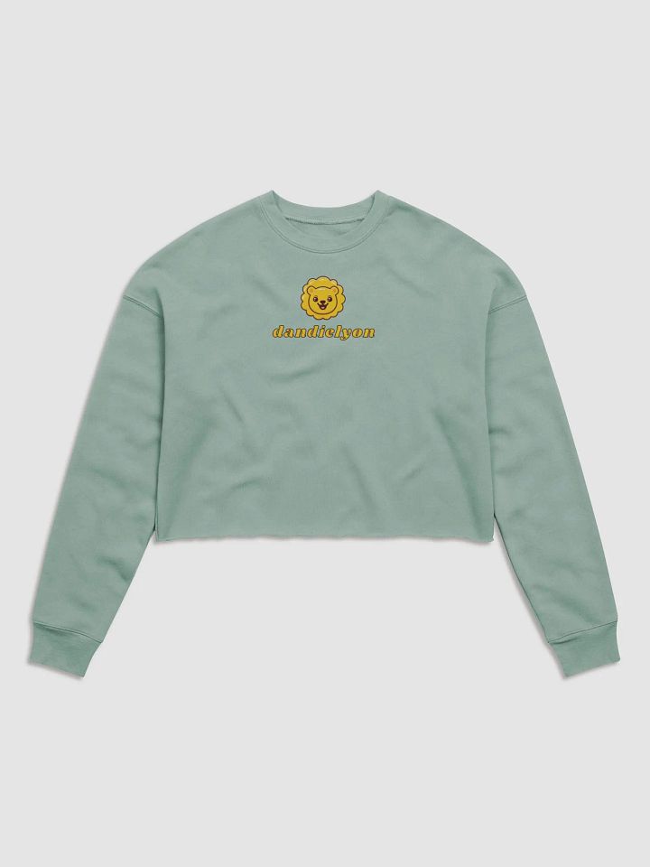 dandielyon cropped sweatshirt product image (1)