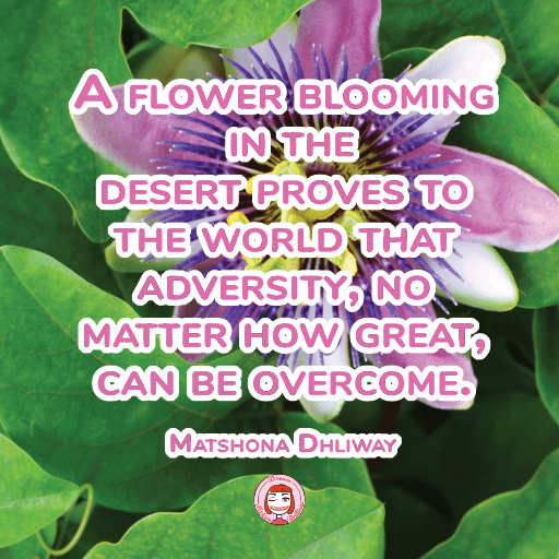 042-001 PNG 1280px 300dpi RGB | A flower blooming in the deser product image (1)