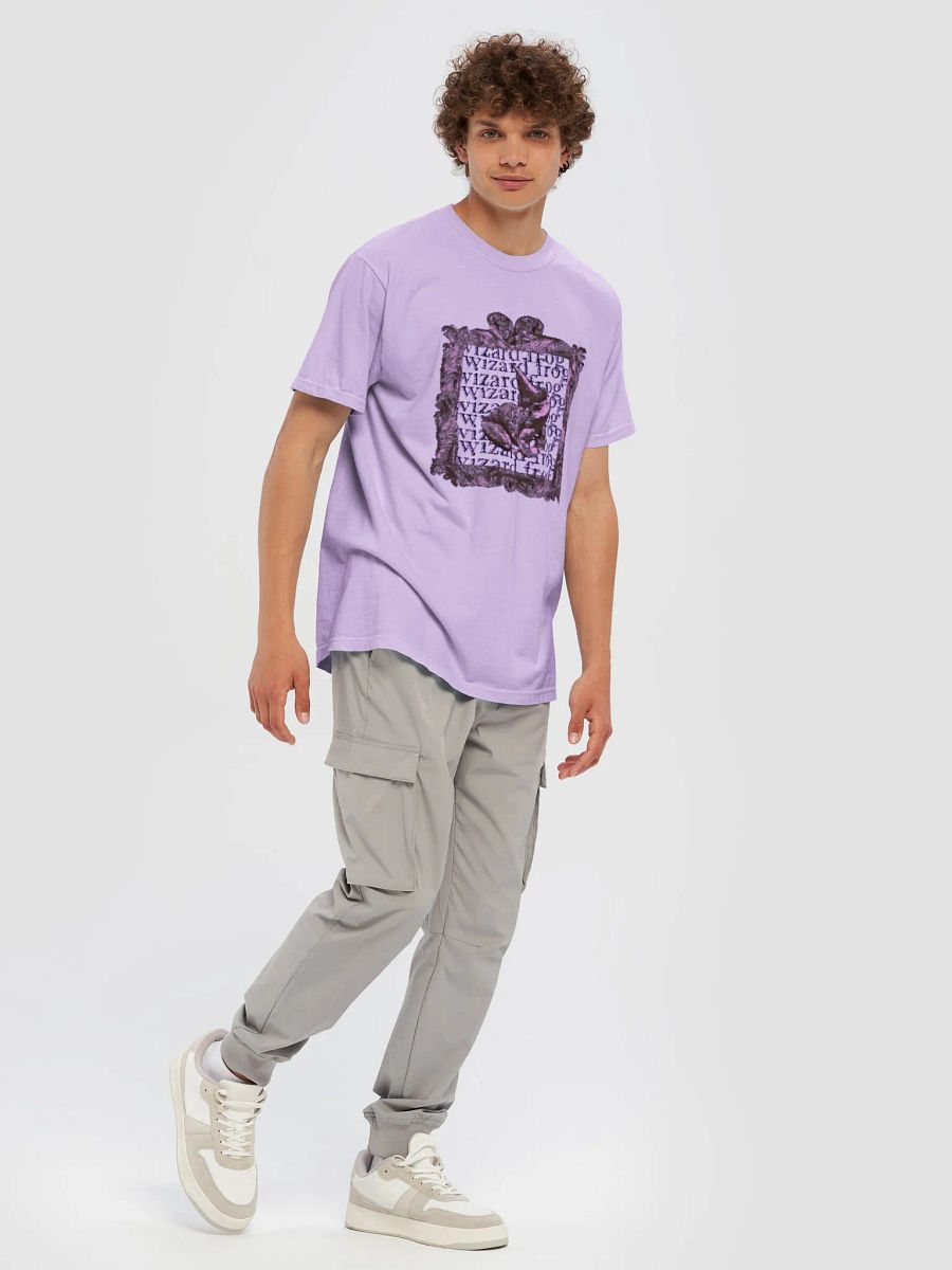 wizard frog product image (33)
