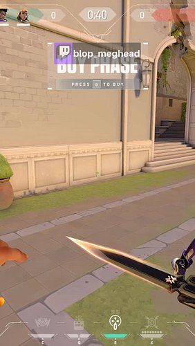 Valorant knew what they were doing with Champs Bundle 🥸#valorant #valorantfunny #valorantclips #funnyvalorantclips #twitchstr...