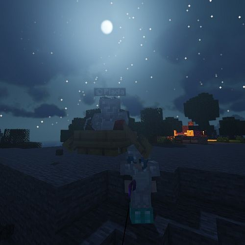 nothing special just fishing yk. I have a weird hat you say? nah

#minecraft #twitch #streamer #vtuber #gamer