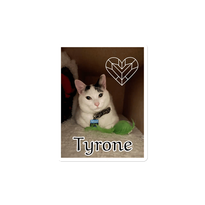 Tyrone Magnet product image (2)