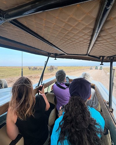 Wild hearts, untamed places, unforgettable memories 🐘🦓🦛🐆