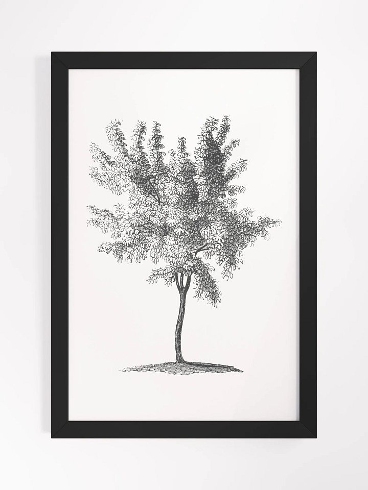 Woodland Trees #2 Framed Print product image (1)