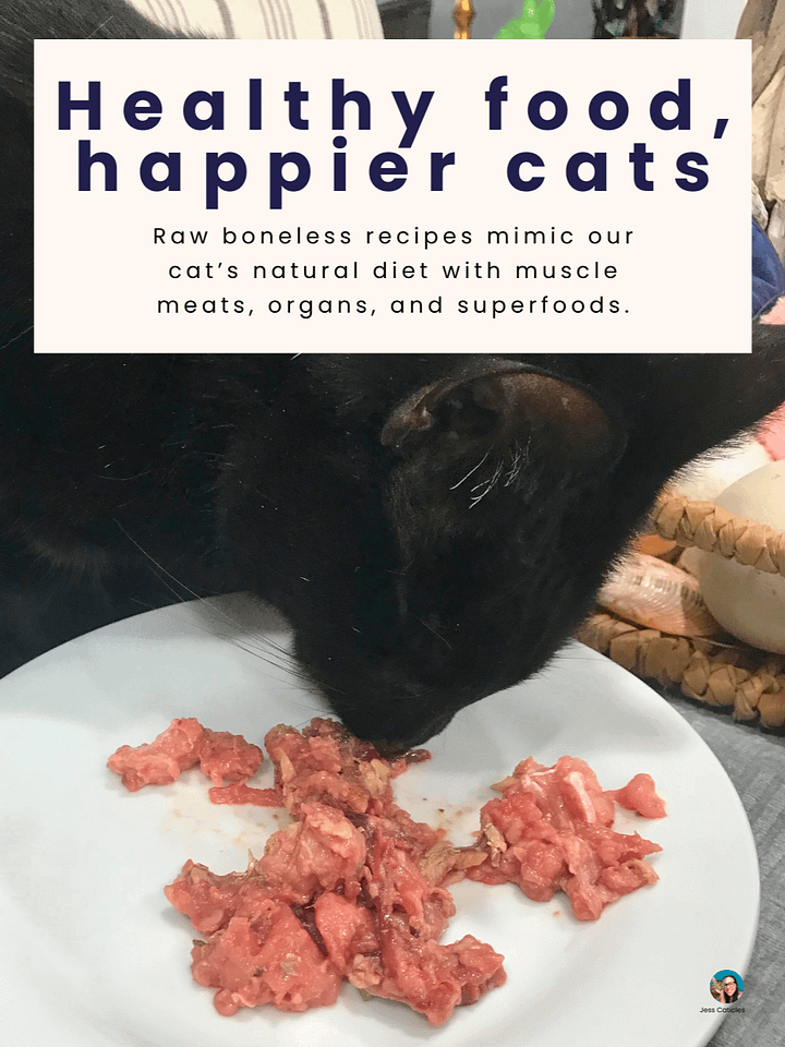 Raw Cat Starter Pack Digital Magazine ~ Simple Raw Feeding Cats PDF Guide with 2 DIY Raw Recipes for Beginners product image (2)