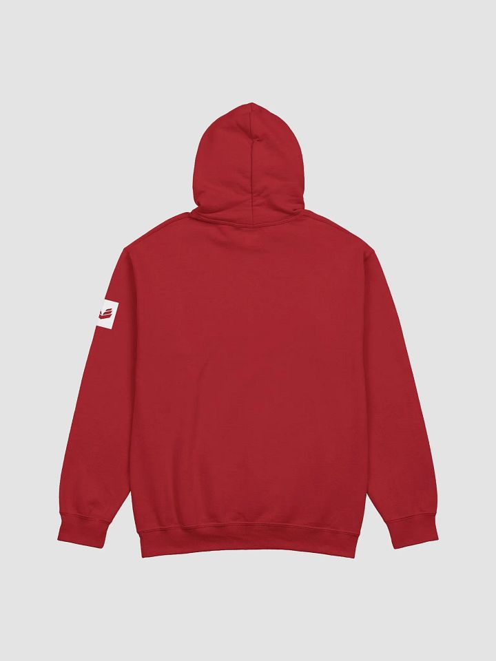 International Movement Hoodie - Red product image (2)