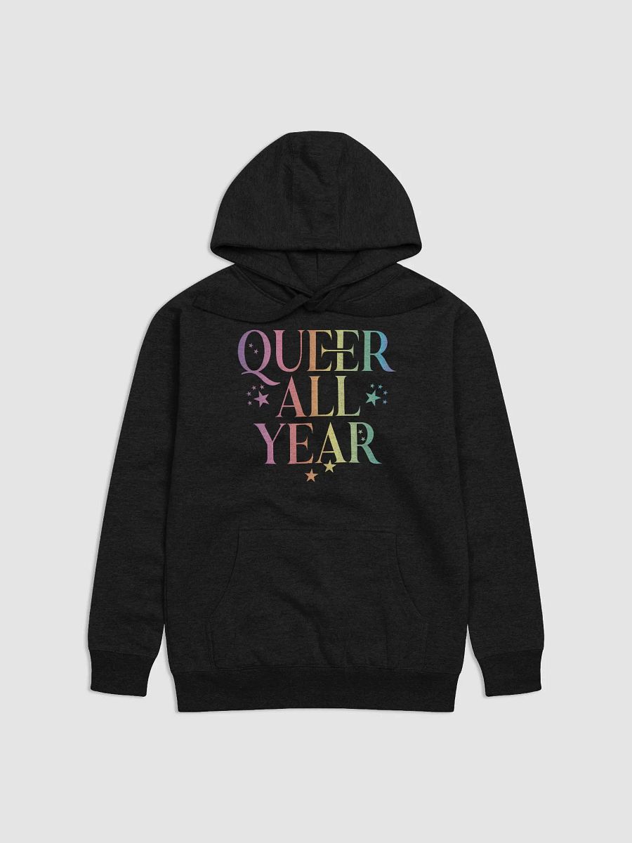 Queer All Year Hoodie product image (2)