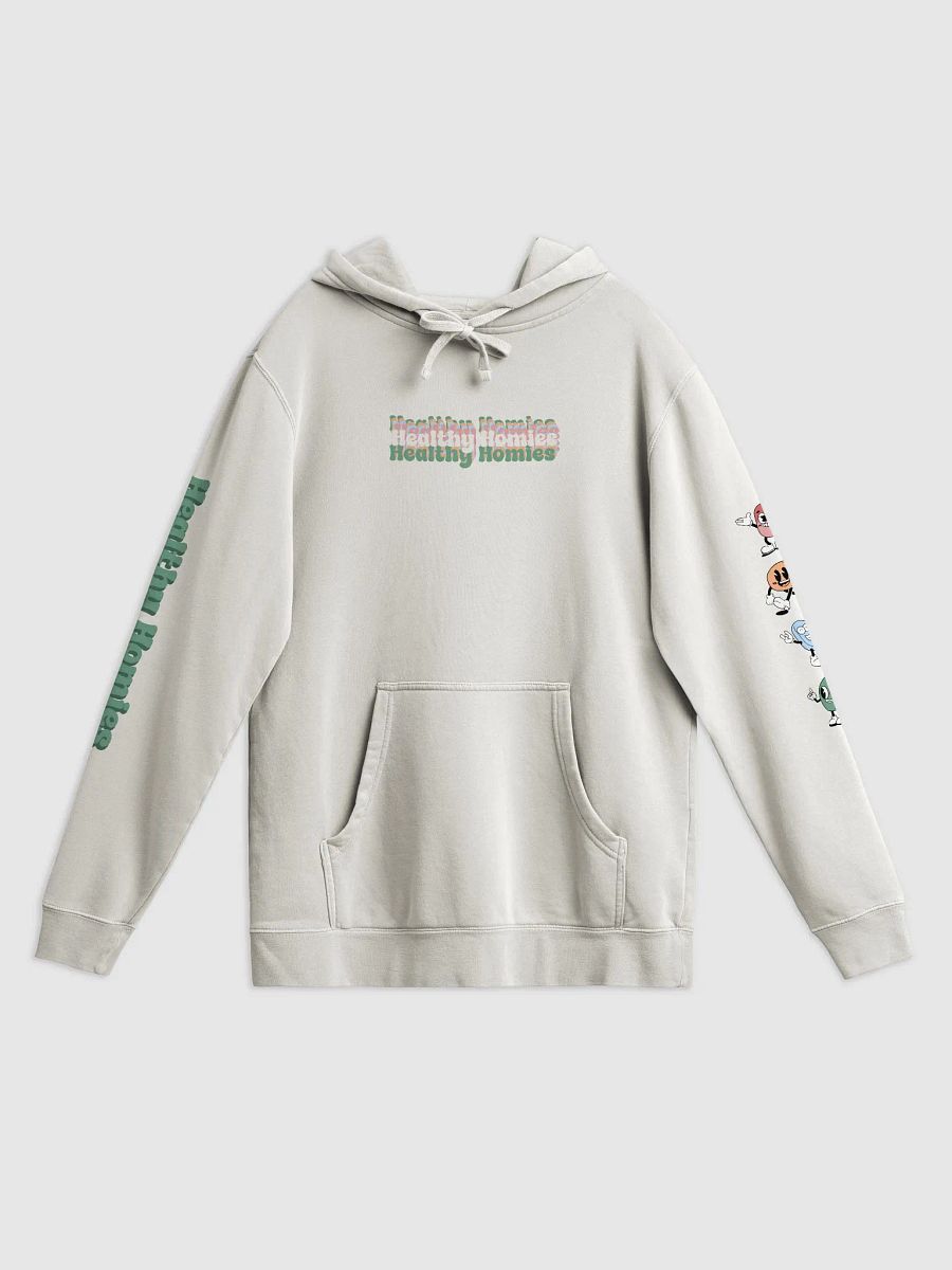 Healthy Homies Hoodie product image (1)