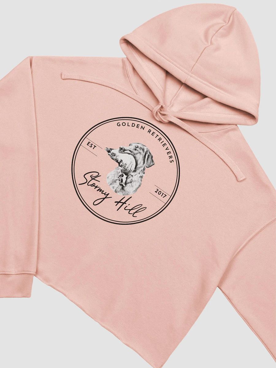 Pink Stormy Hill Logo Crop Hoodie product image (3)
