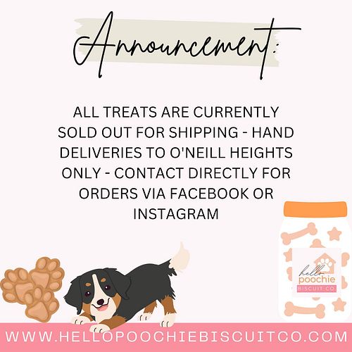 A little announcement 📣 🐾