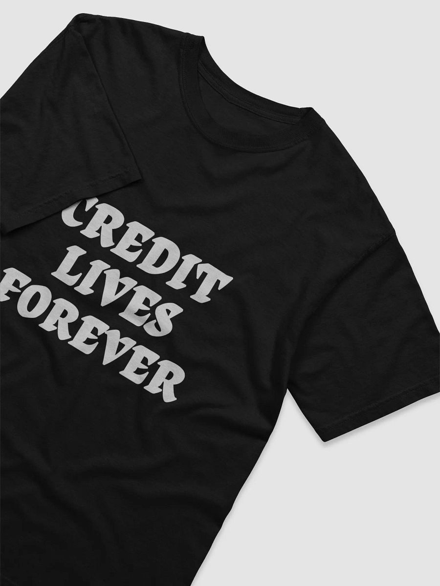 Credit Lives Forever product image (3)