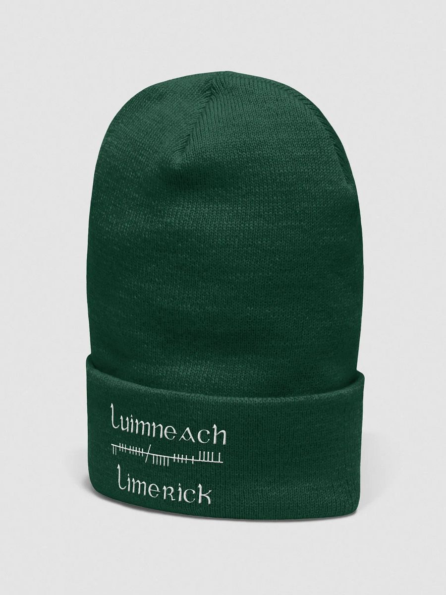 Limerick/Luimneach Orthodox Ogham, green with white, embroidered Cuffed Beanie product image (2)