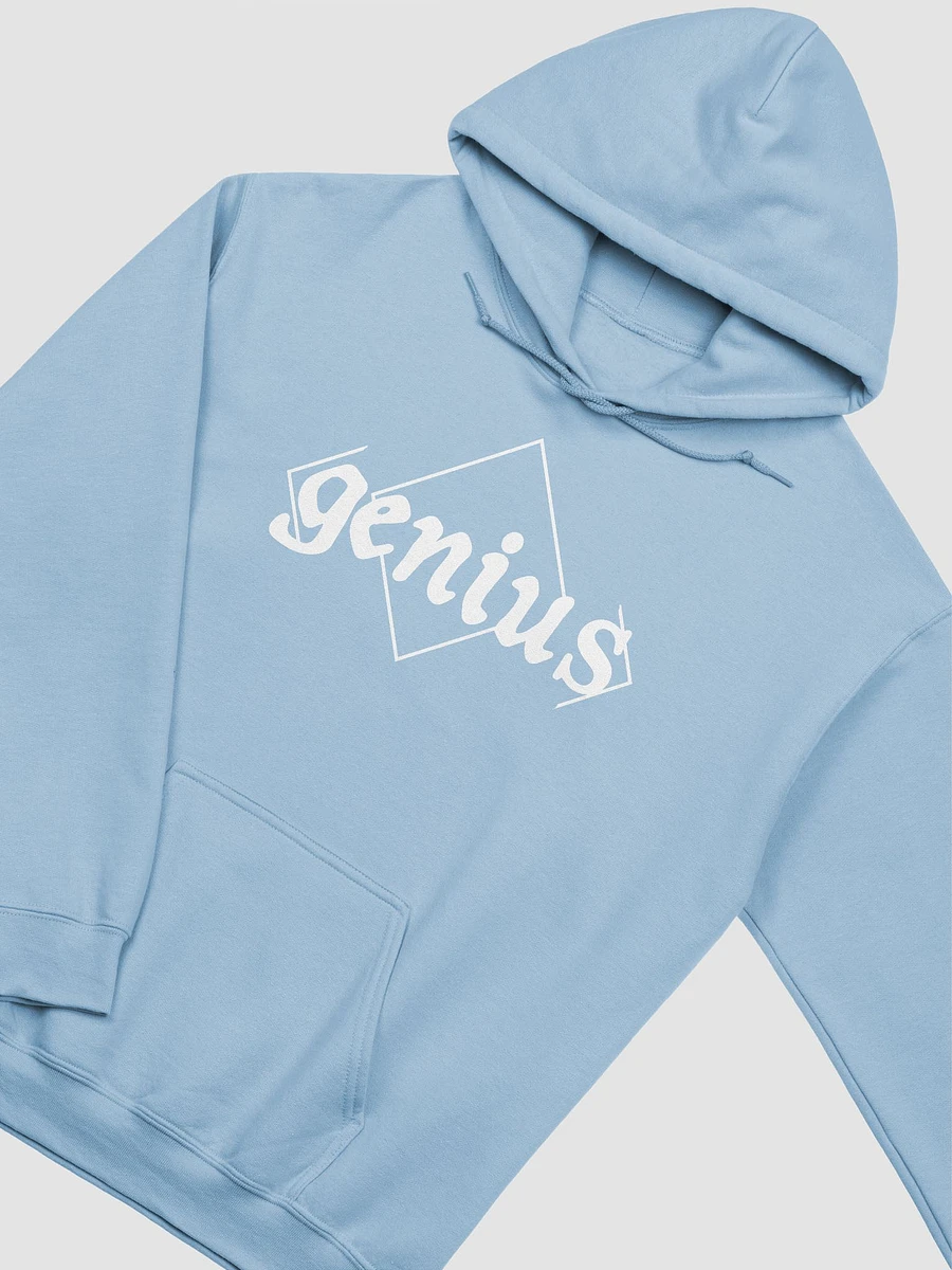 genius hoodie product image (3)