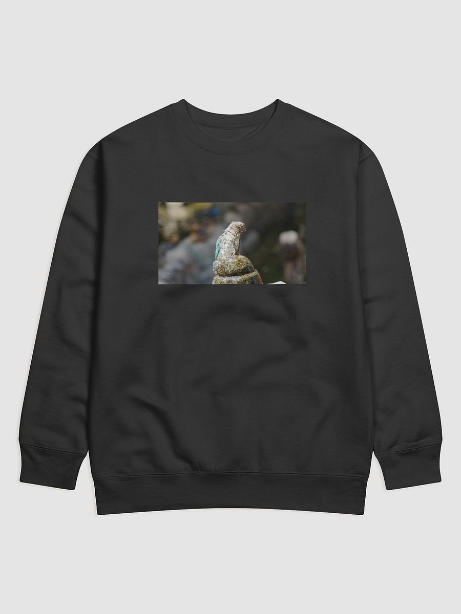 Ruffled Feathers Parrot Sweatshirt product image (1)