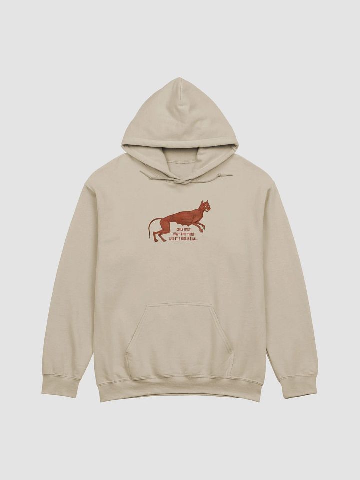 'Girls Only Want One Thing And It's Disgusting...' Hoodie (9 colour options available) product image (1)